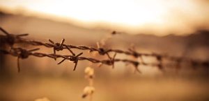 holocaust