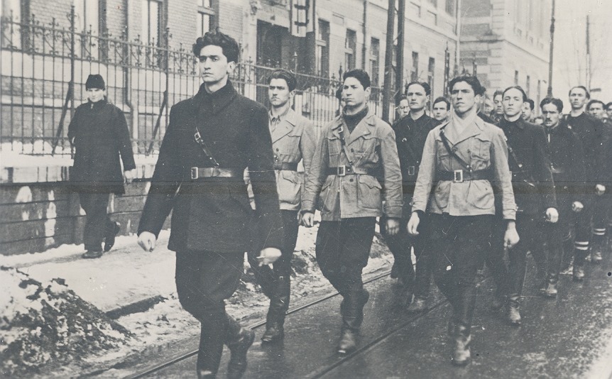 rebelinea legionara