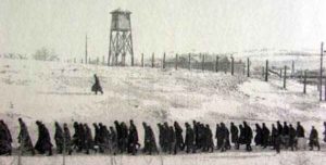 deportarile din Basarabia si N Bucovina