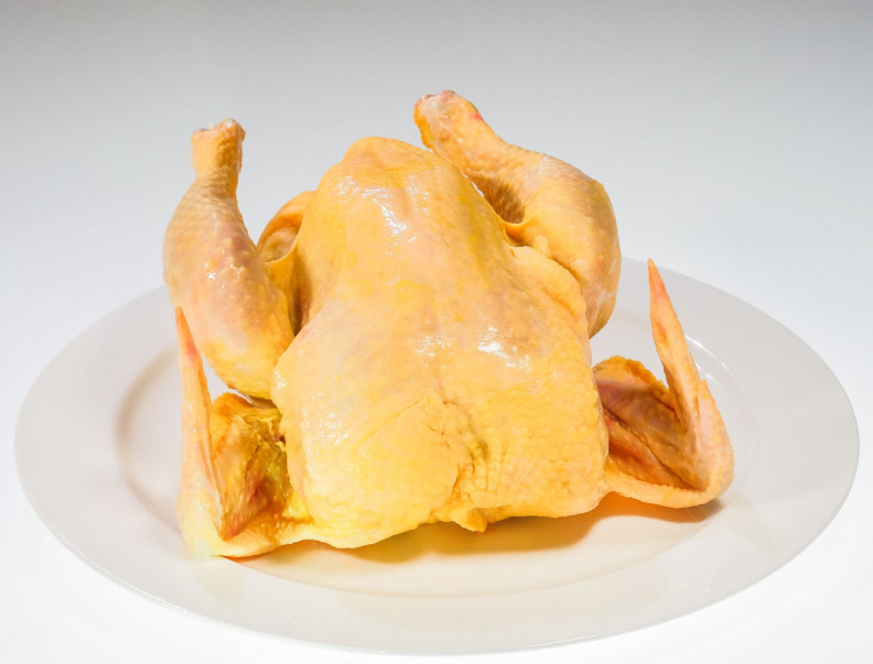 pui-galben