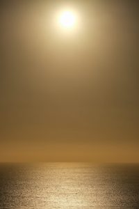 pexels-photo-20783827.jpeg
