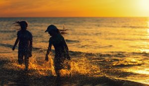 1699341740-beach-4524911_12806940178623241133473