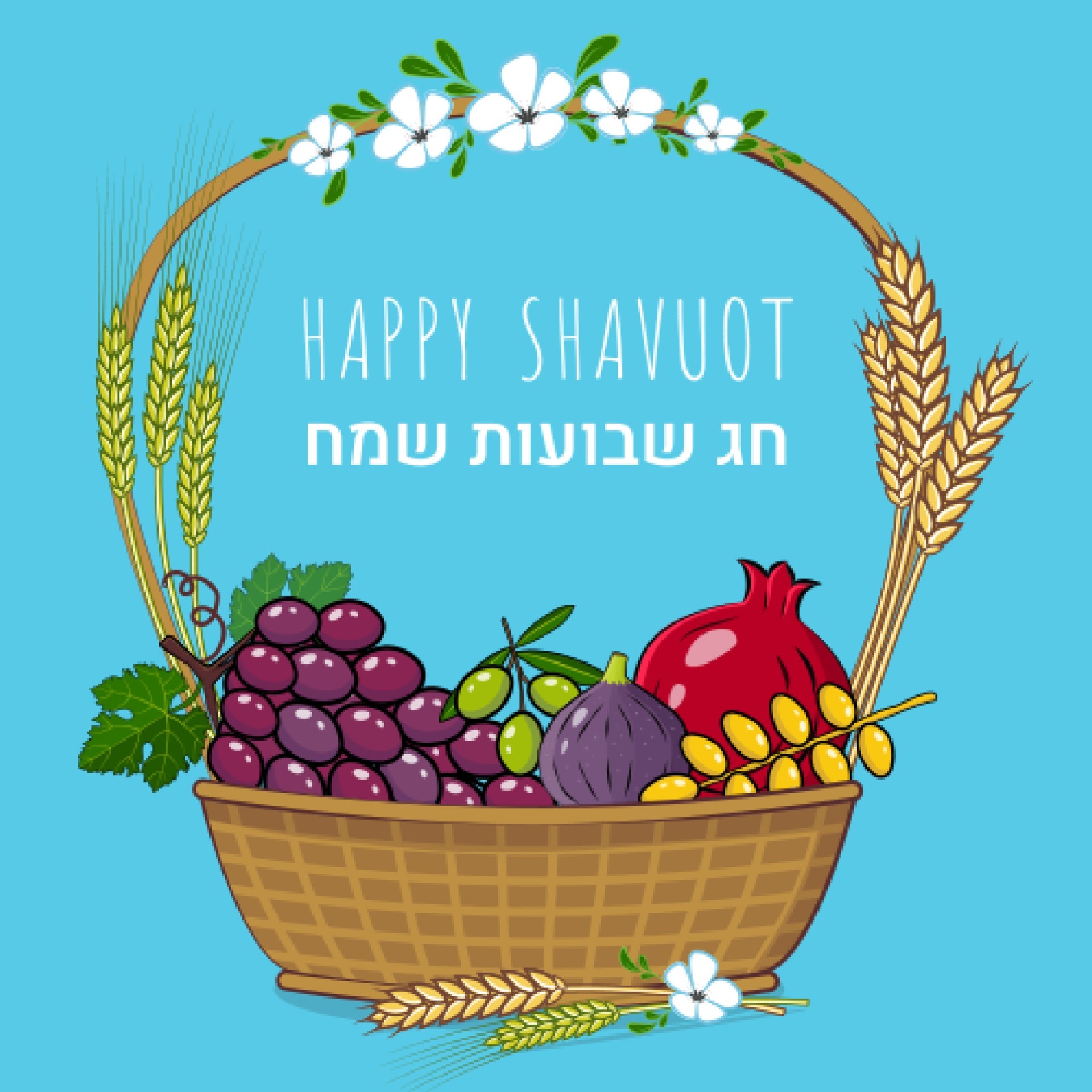 traditional-fruit-basket-and-crops-jewish-holiday-shavuot-concept-and-text-in-hebrew-happy-shavuot-vector1861062334184788747