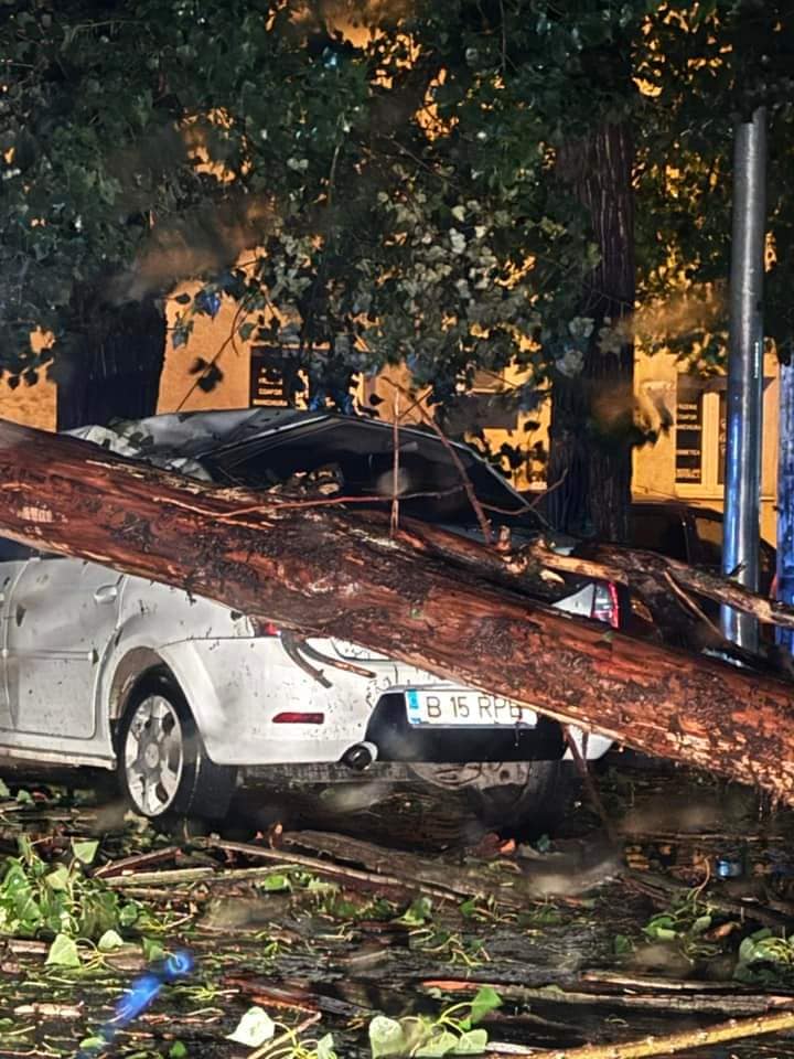furtuna bucuresti1