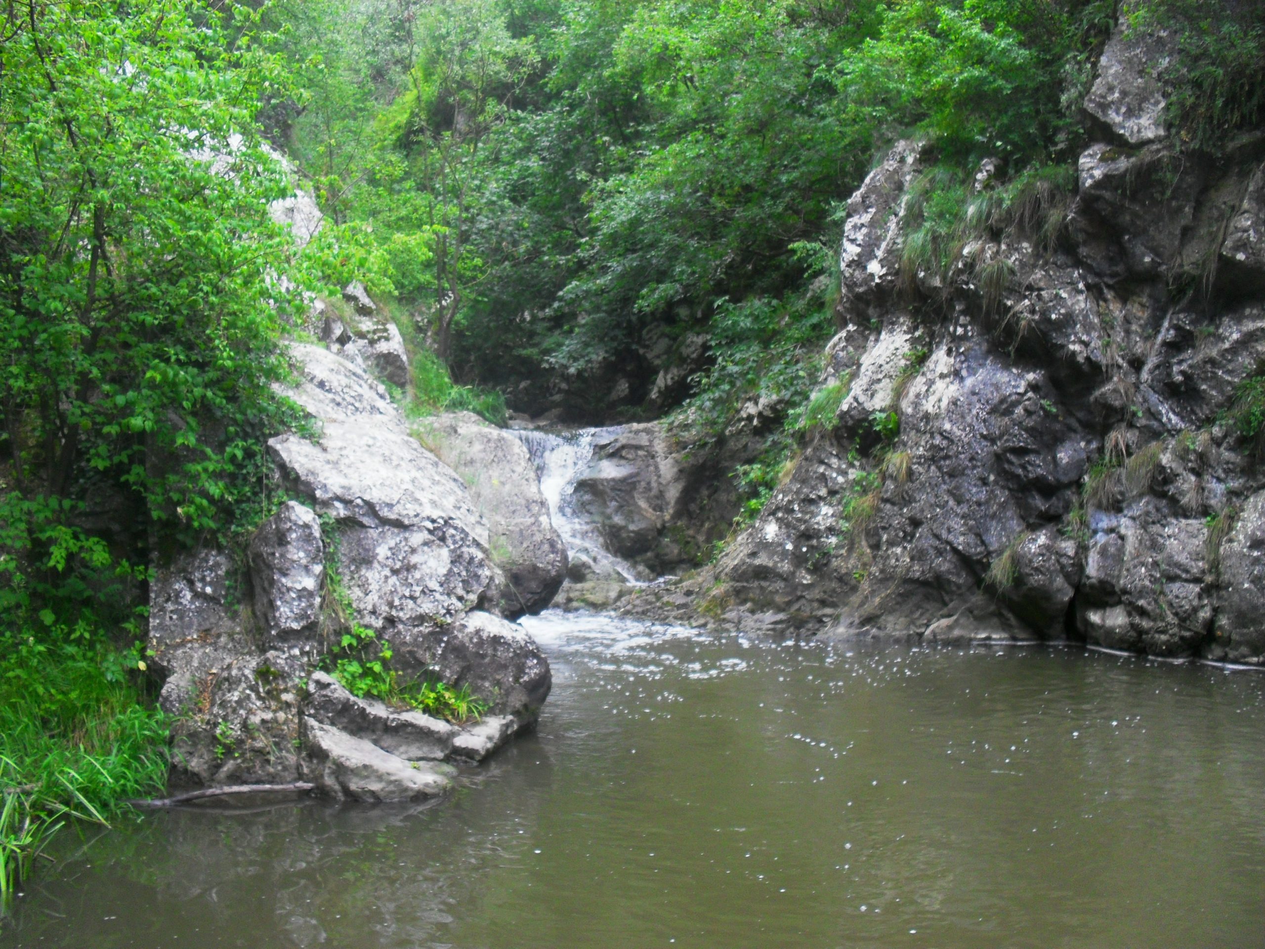 sdc169144751500344746840690