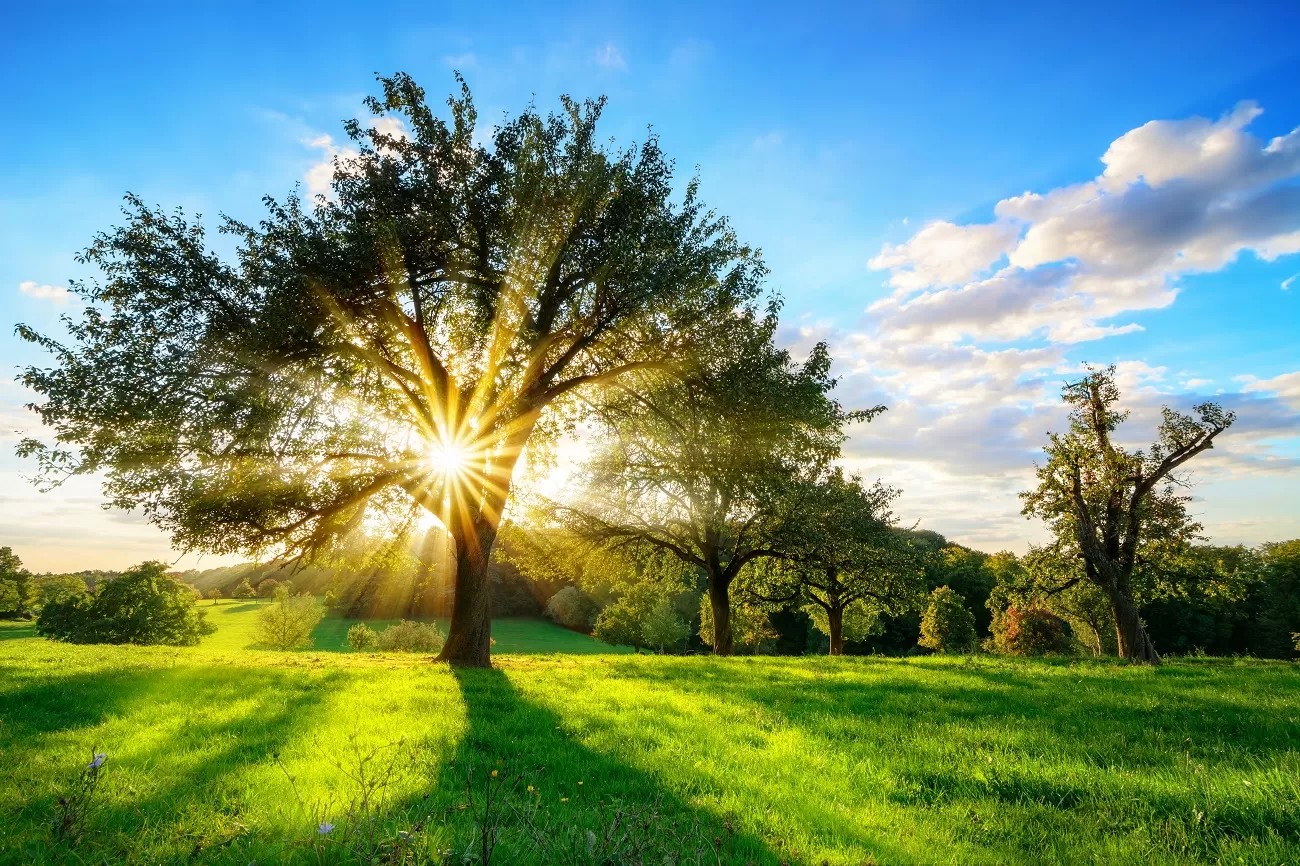 soare-natura-shutterstock-curatorial2324381877286375648