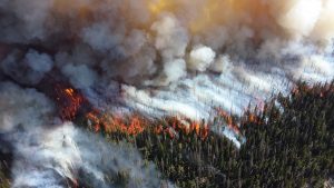 incendiu_padure_vegetatie_074853008274655744430890853