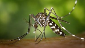 west nile