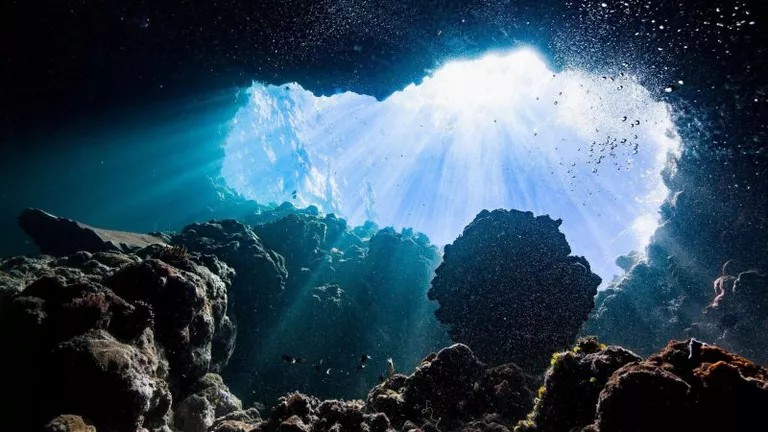 oxigen-ocean-800x4506673882277763148515
