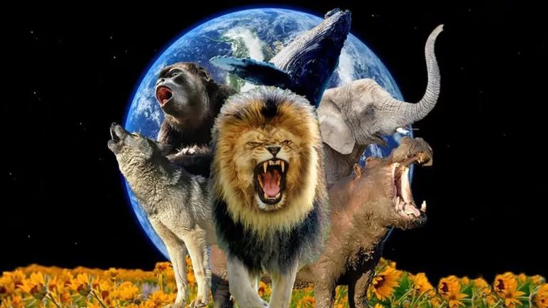 ce-animal-produce-cel-mai-puternic-zgomot-de-pe-planeta-800x4886492759609138241470