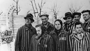 papa-pius-stia-de-holocaust-scrisoare-800x517