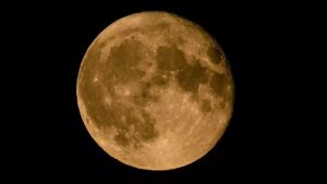 luna-1-800x450