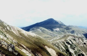 muntele godeanu, varful gugu