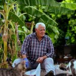Cazare gratuită în Grecia pentru iubitorii de pisici