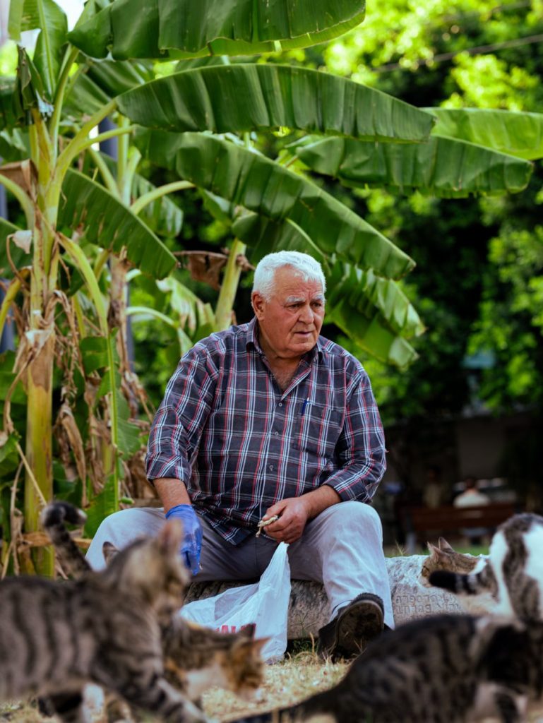 elderly man feeding cats in lush garden